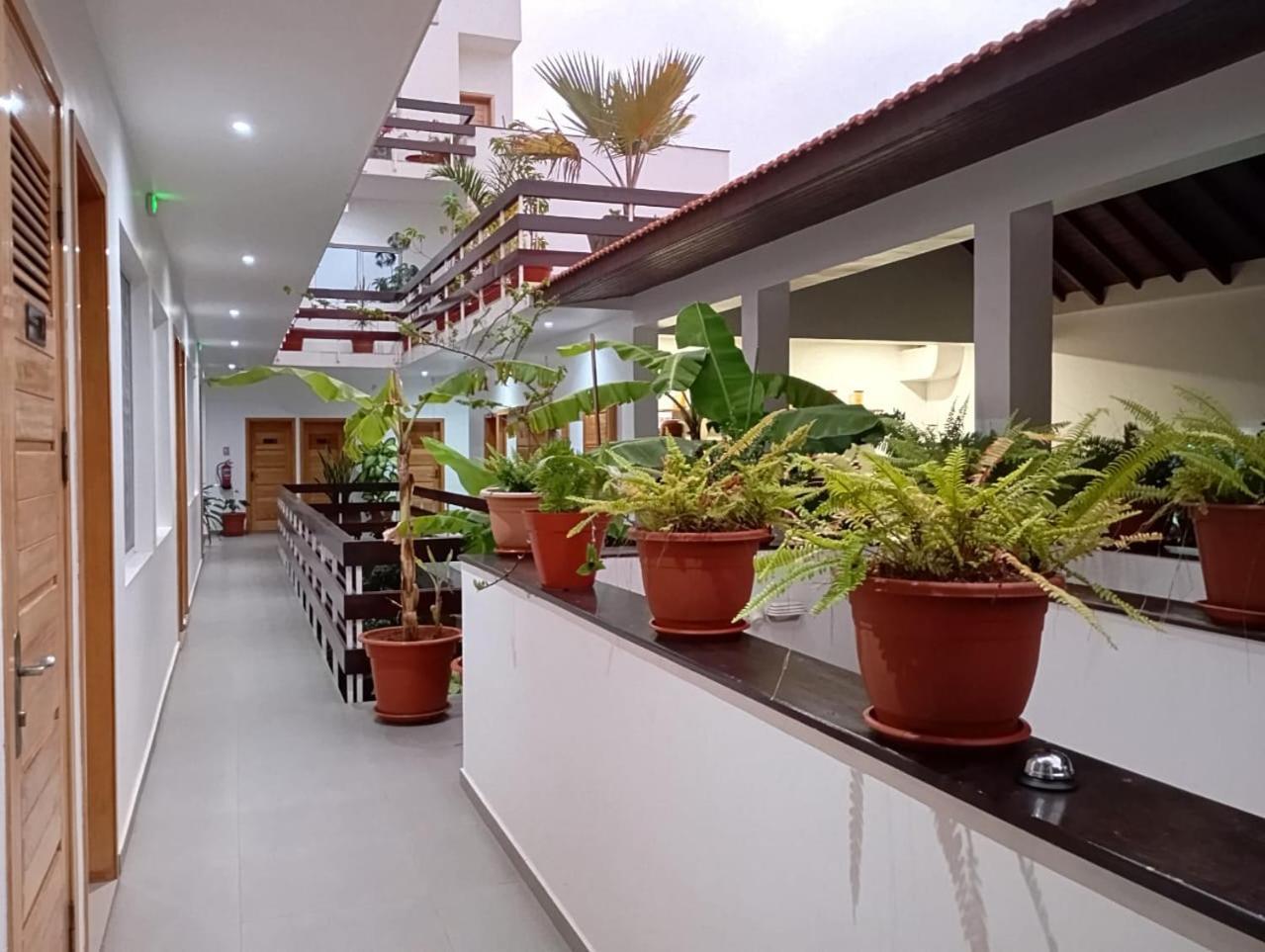 Hotel Viajante تارافال المظهر الخارجي الصورة